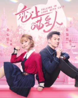 《小城故事多》4位男主结局:白浪逆袭,威廉遗憾