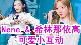 逃离逃犯藏身之处