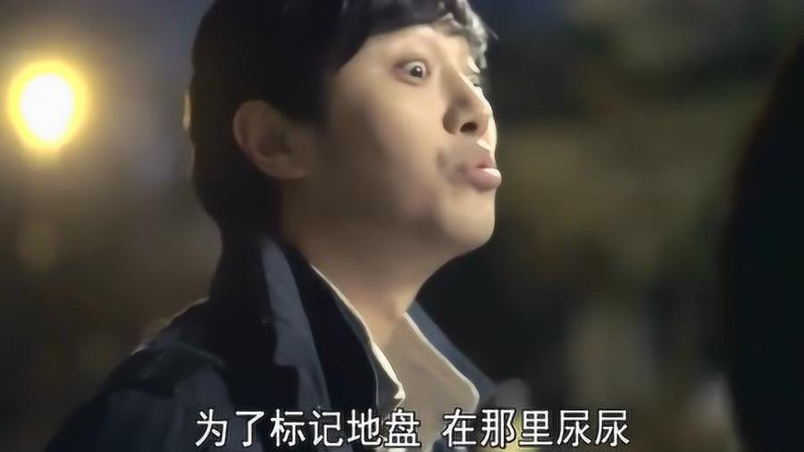 狗子眯眼偷用力便便,长大后同款嗯嗯脸笑喷:屎终如一!